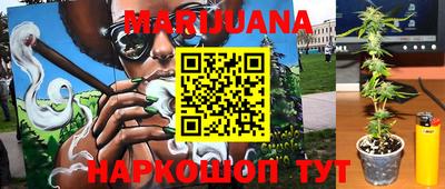 гидра Краснокаменск