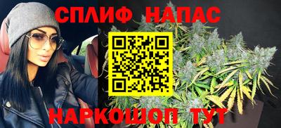 гидра Краснокаменск