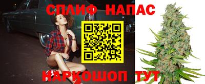 индика Краснодар