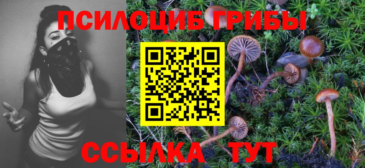 Псилоцибиновые грибы Magic Shrooms  Вход с VPN  Галлюциногенные грибы MAGIC MUSHROOMS  Клин 