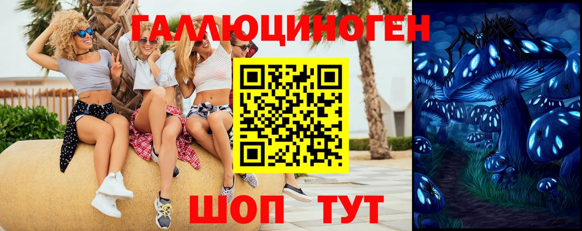 Псилоцибиновые грибы мицелий Клин